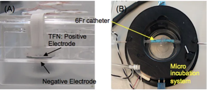 Figure 3. The experimental setup for (A) parallel capacitor model and (B) cylindrical catheter based 