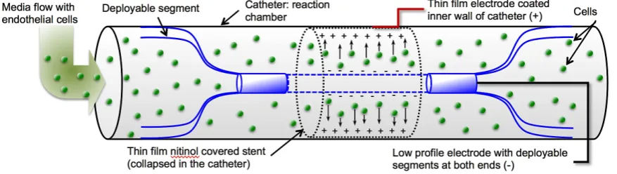 Figure 4. A schematic of the cylindrical shape cell seeding experimental setup. 