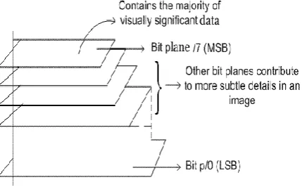 Fig.3: Bit Plane slicing for 8 bit image 