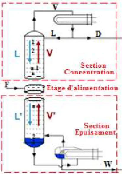 Fig. 1.   Schéma descriptif des différentes sections de la colonne de distillation continue  