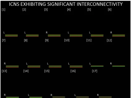 Figure 7. ICNs exhibiting significant interconnectivity  