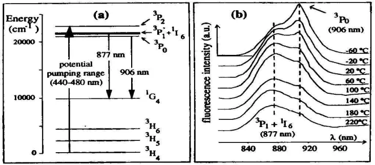 Figure 2.4.2  (a) Simplified energy scheme of Pr3+ in ZBLAN  (b) Emission of the 3P0 and  (3P1 + II6) levels at the shown temperatures [Maurice et al, 1997a]
