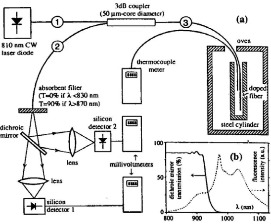 Figure 2.4.3 Ytterbium doped fibre temperature sensor reported by Maurice et al [1997]