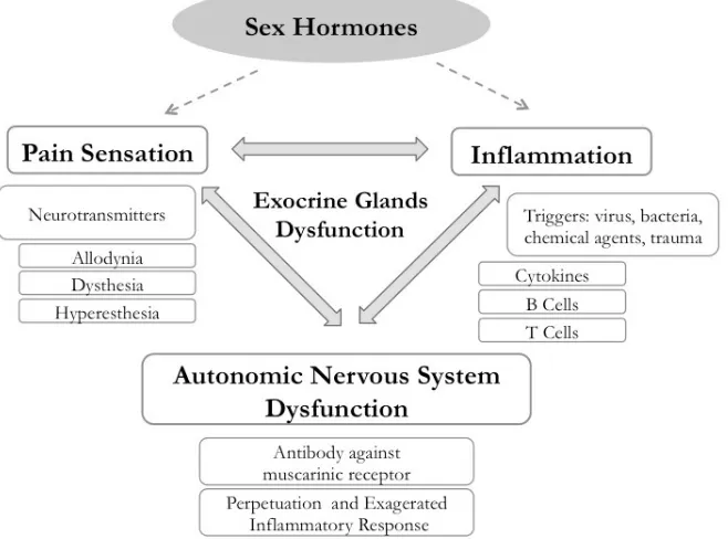 Figure 1. A schematic model, showing the interrelationships among 