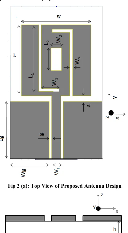 Fig 2 (a): Top View of Proposed Antenna Design 