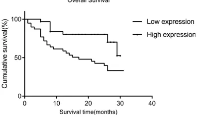 Table 2. Clinical variables correlated with overall survival in patients with hepatocellular carcinoma based on Cox univariate and multivariate models