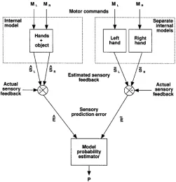 Figure 10. (Sdictions are then compared with the actual sensory feedback to produce theRsensory prediction errorsthen used to determine the probabilitycurrent behavior