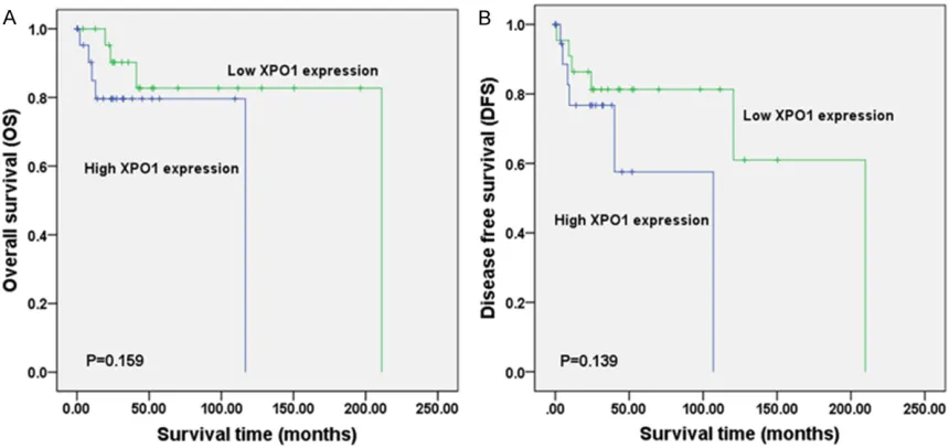 Figure 9. Drugs targeting specific gene networks related to XPO1 in DLBCL (TCGA, provisional)