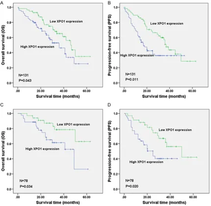 Figure 4. Survival comparison of DLBCL patients with low and high XPO1 expression levels