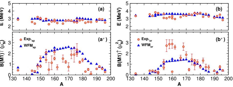 Figure 5. Energiesexperimental spectra into two groups. WFM E (a, b) and transition probabilities B(M1) (a′, b′) of the spin scissors and the orbital scissors obtained by dividingsp and WFMor – the results of calculations [9] for spin and orbital scissors respectively;Exp.sp and Exp.or – experimental results for the same scissors.