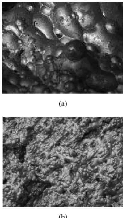 Figure 4. Froth of a) high depth with elliptical type of bubbles which exhibit  the  stiffness  bubbles  and  their  resistance  against  the  flow  and  also  carry  particles of specific sizes  and  b)  irregular  in  nature,  high  depth  with  bubbles 