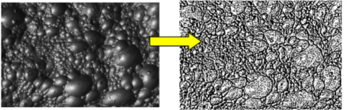 Figure 8. The effect of edge detection function on the froth image 