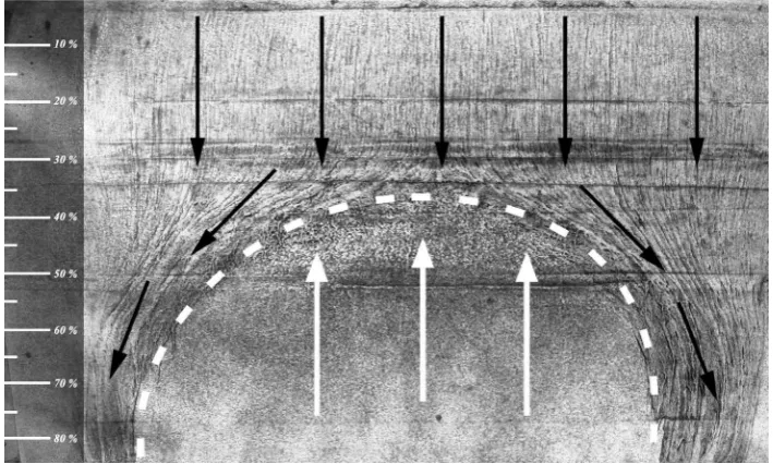 Figure 3. Surface oil-flow visualization over a section of the aircraft’s wing, U∞ = 20 m/s; α = 16˚; no control