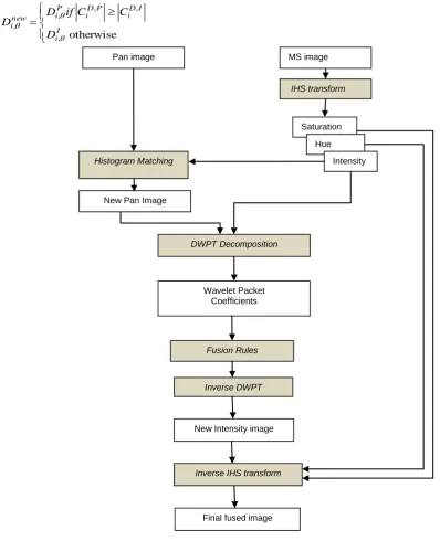 Fig. 4. Flow scheme of proposed IHS –DWPT fusion method 
