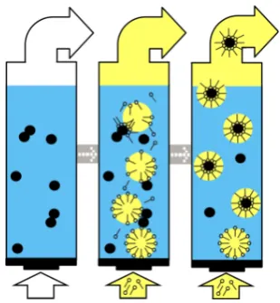 Figure 1. Scheme of the fundamental steps in the liquid-liquid particle extraction process me-chanism in the drop column as transfer device