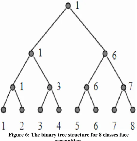 Figure 6: The binary tree structure for 8 classes face recognition. 