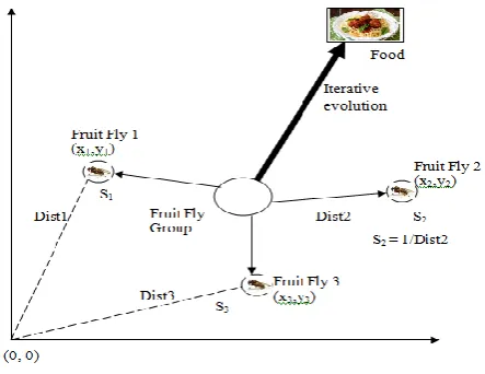 Fig. 1. The Fruit Fly, Drosophila 