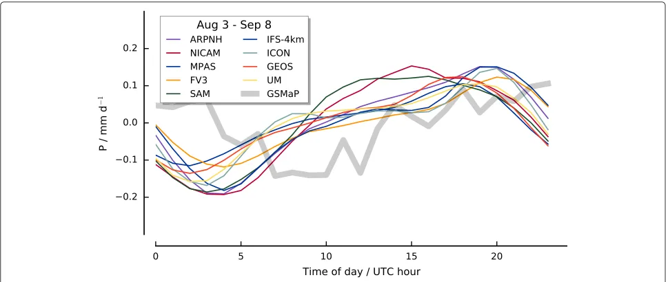 Fig. 6 Composite diurnal cycle of global precipitation as anomaly from mean