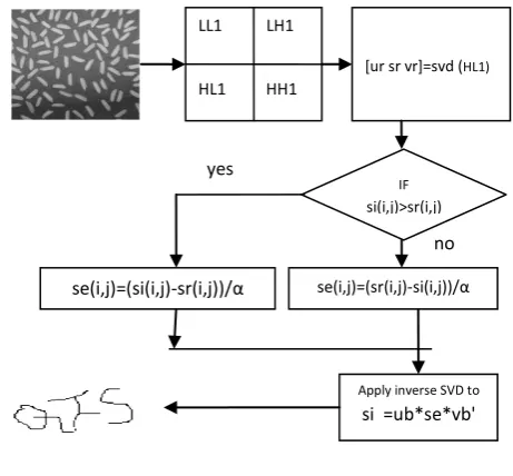 Fig 3: Proposed extracting flowchart 