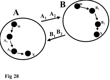  Fig 28