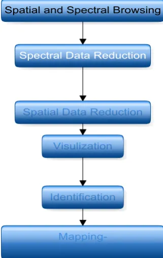 Figure 2.  Hyperspectral Analysis Scheme 