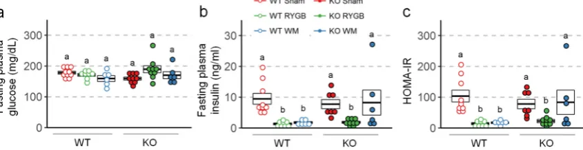 Figure 6. Effect of RYGB, sham surgery, or weight matching to RYGB by caloric restriction (WM) on fasting plasma glucose (a), fasting plasma insulin (b), and HOMA-IR (c), in Y2R-KO and WT mice, as measured at termination of the experiment