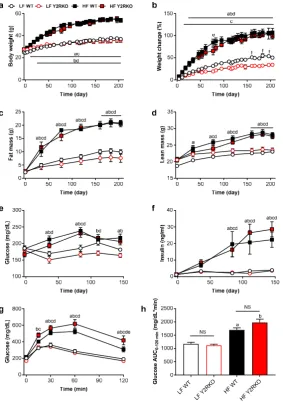 Figure 1. Body weight, body composition, fasting glucose and insulin and glucose tolerance of male WT and Y2RKO mice on either low-fat (10%; LF) or high-fat (60%; HF) diet