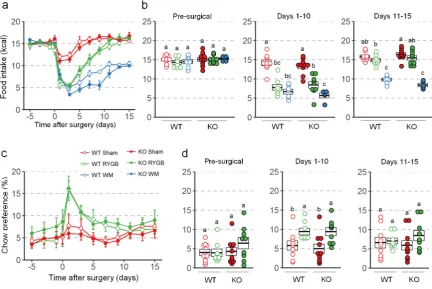 Figure 3. Effect of RYGB, sham surgery, or weight matching to RYGB by caloric restriction (WM) on food intake and diet preference in Y2RKO and WT mice