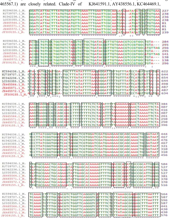 Figure  1.  Alignment  result  showing  conserved  region  that  are  identical  in  both  highly  virulent  (M