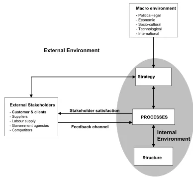 Figure 2. Theoretical model showing the relationship between process,  macro environment, external stakeholders, strategy and structure