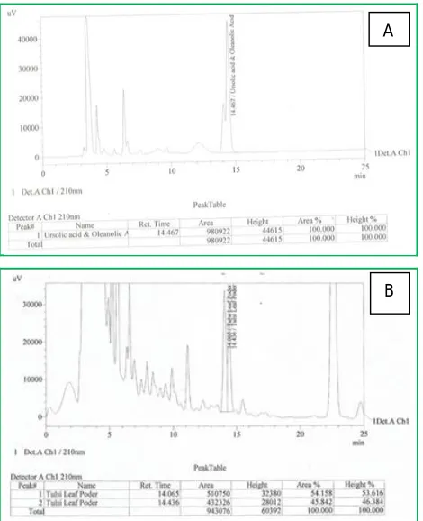Figure 1: Chromatogram of the Ursolic acid/ Oleanolic acid obtained by HPLC (A) standard and (B) the one extracted from Ocimum sanctum leaves