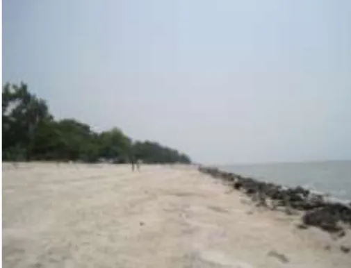 Figure 1: Pantai Remis in Kuala Selangor district is facing erosion problem that requires  coastal deference work to curb it