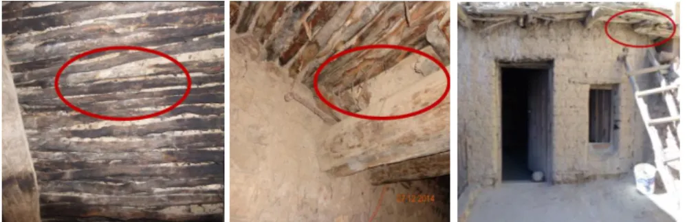 Figure 5 Deterioration of interior floors and partial structure collapse  Source: Author 
