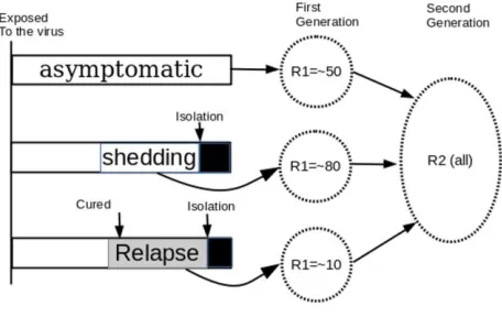 Figure 2. the COVID-19 virus can transmit from person to person in advance of detecting, tracing and personal isolation