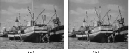 Fig 4 Compression using Log-Gabor Filter and JPEG compression (a) Original Image (b) Compressed Image 