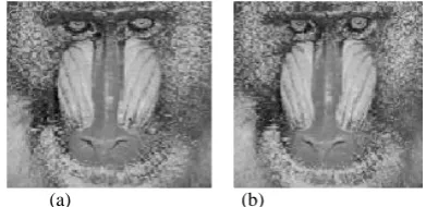 Fig 5 Compression using Log-Gabor Filter and JPEG compression (a) Original Image (b) Compressed Image 