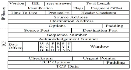 Fig 2: TCP/IP Packet [7] 