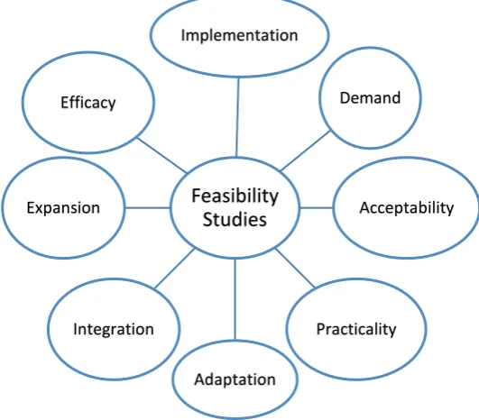 Figure 1. The eight areas of focus of feasibility studies (2)  