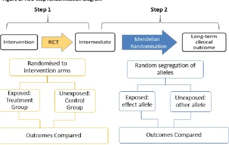 Figure 2. Two-step randomisation diagram 