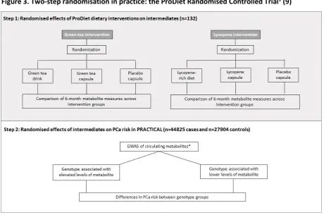 Figure 3. Two-step randomisation in practice: the ProDiet Randomised Controlled Trial1 (9) 