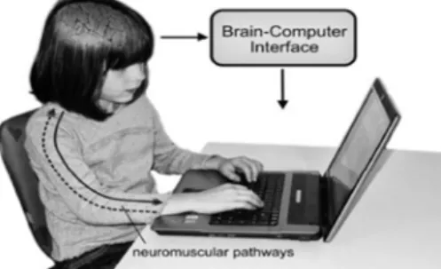 Figure 1. A BCI bypasses the normal neuromuscular output channels [2]. 