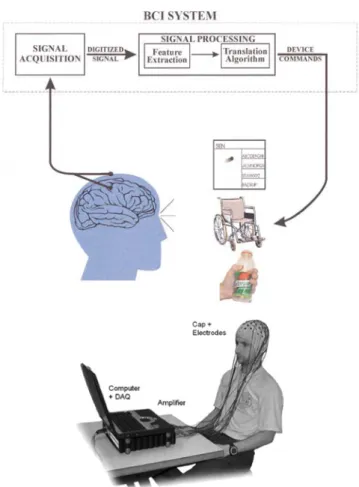 Figure  2.  A  typical  EEG  based  BCI  consists  of  an  electrode  cap  with  electrodes, cables that transmit the signals from the electrodes to the biosignal  amplifier,  a  device  that  converts  the  brain  signals  from  analog  to  digital  forma