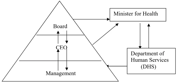 Figure 1.1 Organisational structural apex  