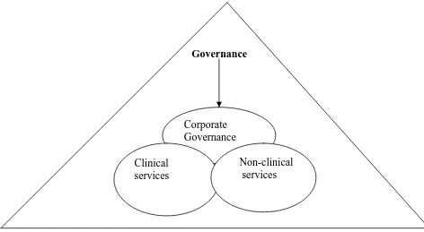 Figure 3.1 HealthCare governance 
