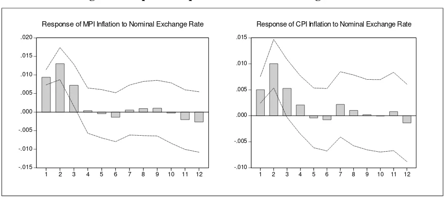 Figure 1: Impulse Response to Nominal Exchange Shocks 