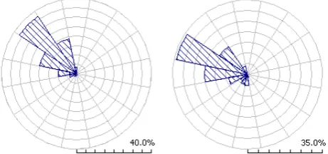 Figure 3. Annual wind speed and wind energy frequency distri-bution histograms in design stage