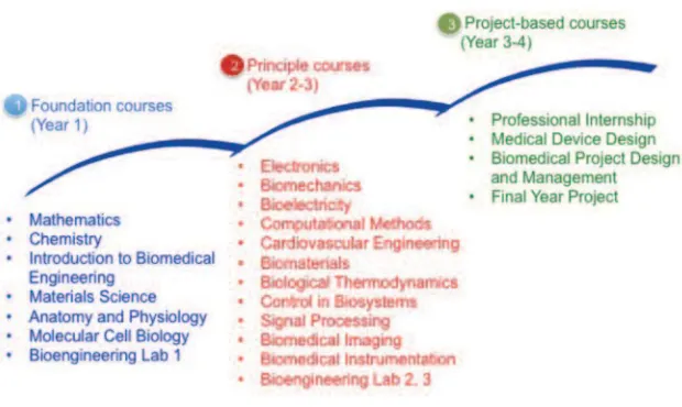 Figure 4: Core courses of the four-year bioengineering programme at the Nanyang Technological University