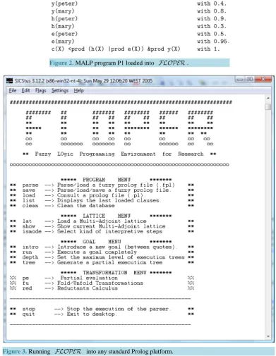 Figure 2. MALP program P1 loaded into  .              