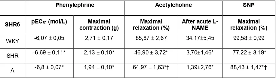 Table 3. Contractile response to phenylephrine and maximal relaxation to 