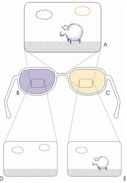 Figure 1 A diagram of the anaglyphic system for amblyopia treatment. The display filter of the amblyopic eye ((A) consists of elements that, based on color, may be visible by one or both eyes
